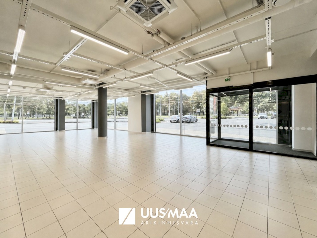 Tallinn, Mustamäe linnaosa, A. H. Tammsaare tee 92