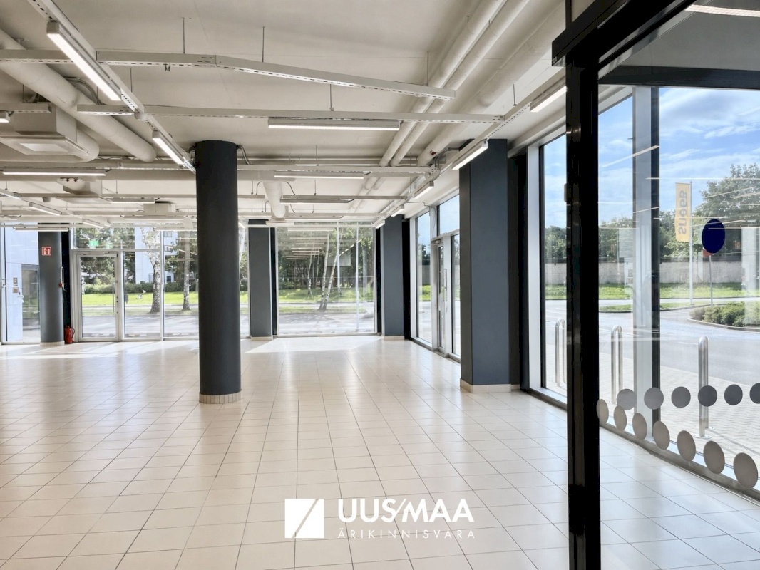 Tallinn, Mustamäe linnaosa, A. H. Tammsaare tee 92