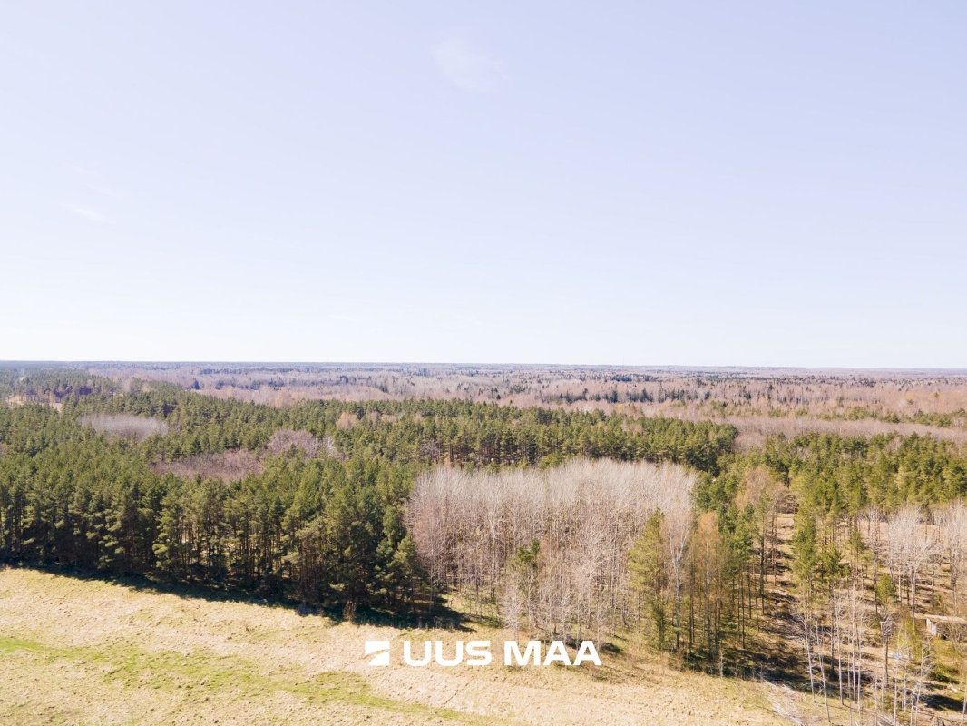 Saaremaa vald, Sõrve-Hindu küla, Põllu kinnistu