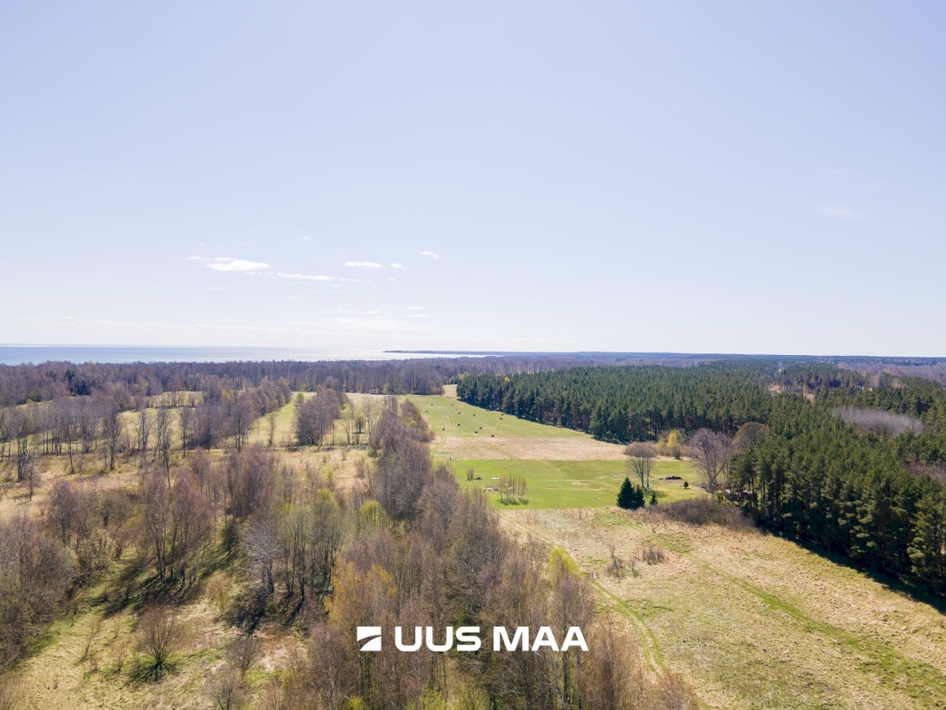 Saaremaa vald, Sõrve-Hindu küla, Põllu kinnistu
