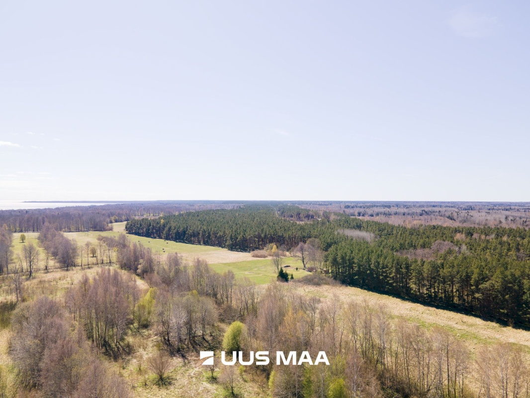 Saaremaa vald, Sõrve-Hindu küla, Põllu kinnistu