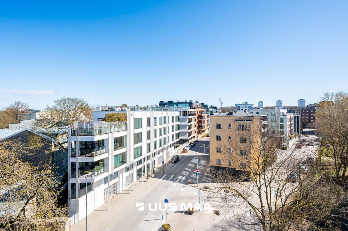 Tallinn, Kesklinna linnaosa, Kadriorg, Kollane 4