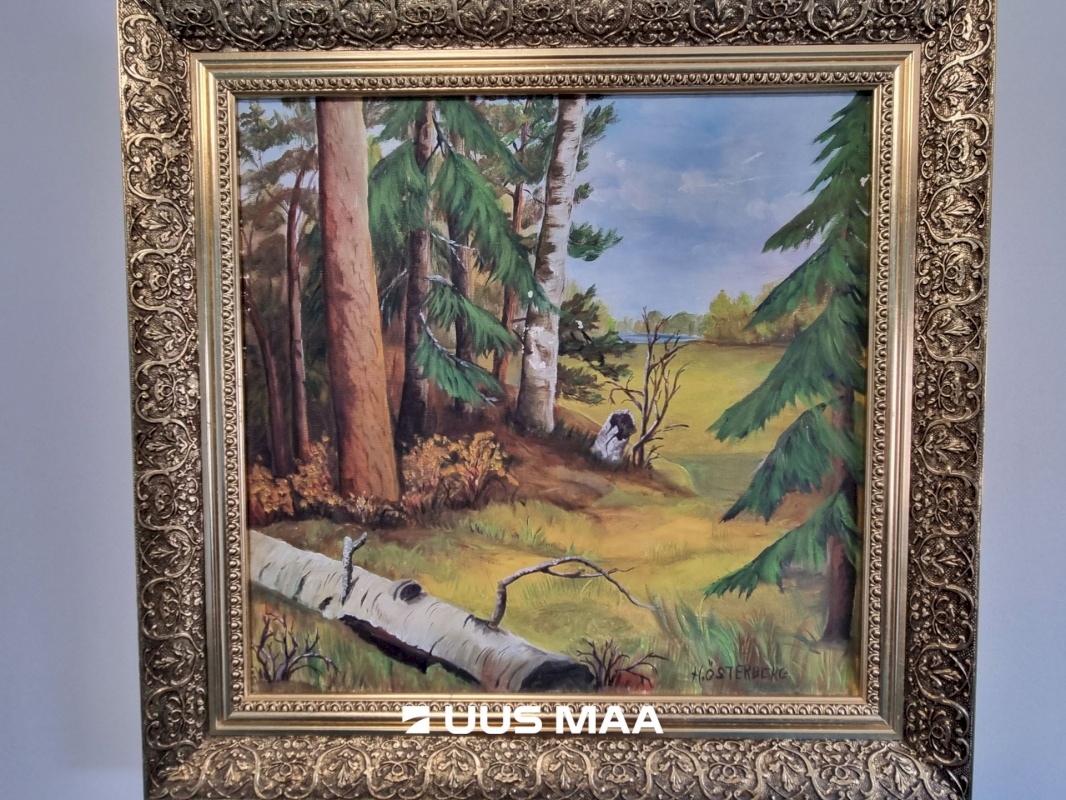 Väike-Maarja vald, Rakke alevik, Tähe tn. 2