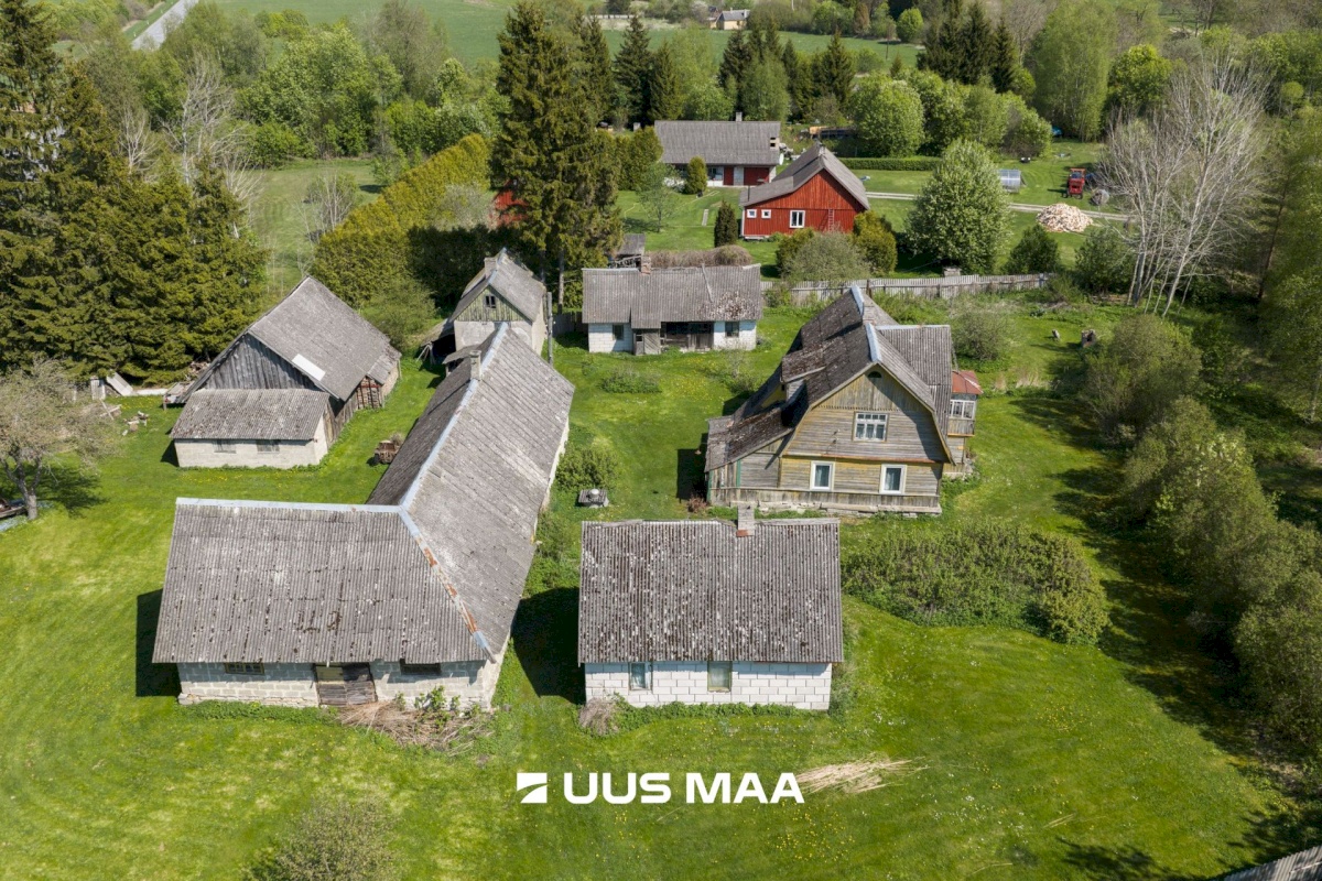 Saaremaa vald, Sakla küla, Kaasiku