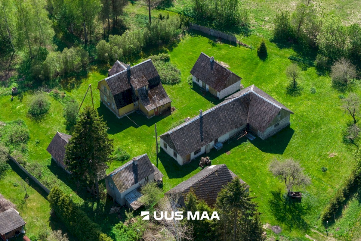 Saaremaa vald, Sakla küla, Kaasiku