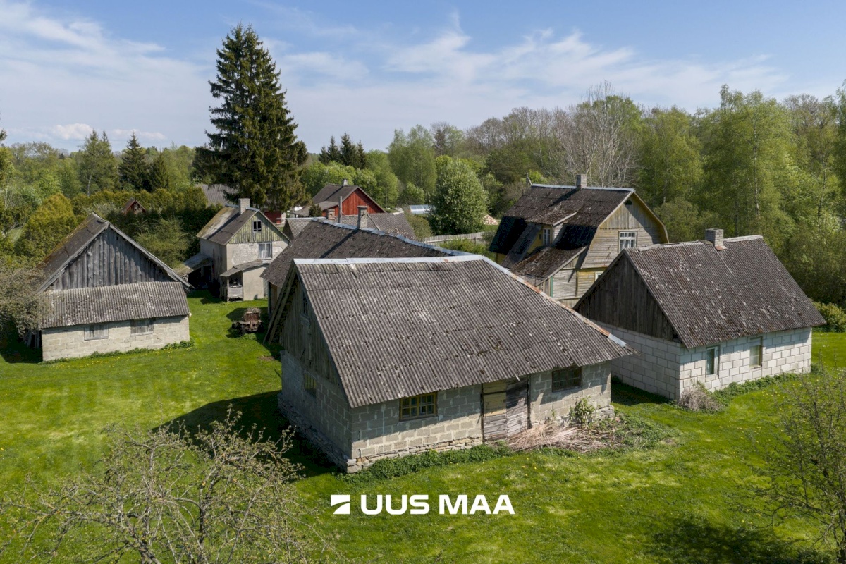 Saaremaa vald, Sakla küla, Kaasiku