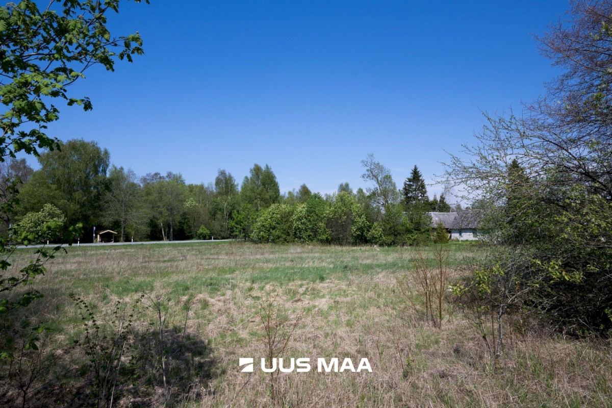 Saaremaa vald, Sakla küla, Kaasiku
