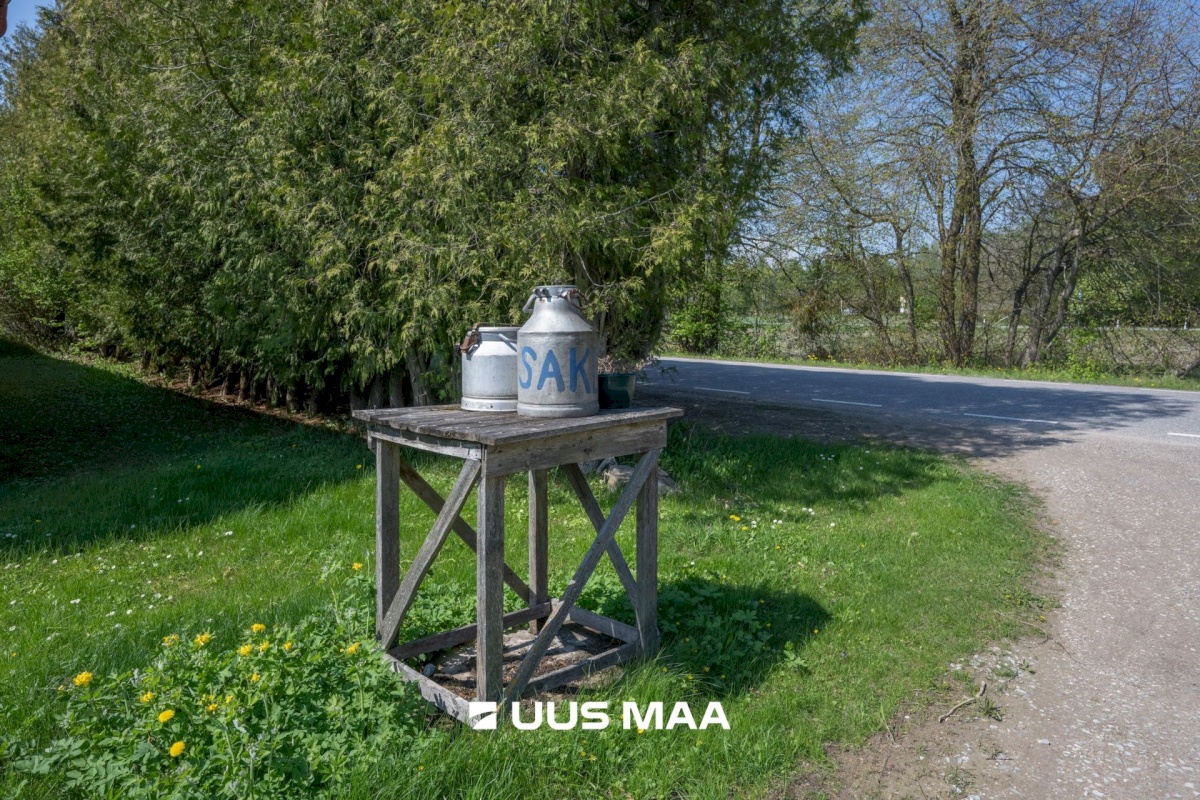 Saaremaa vald, Sakla küla, Kaasiku