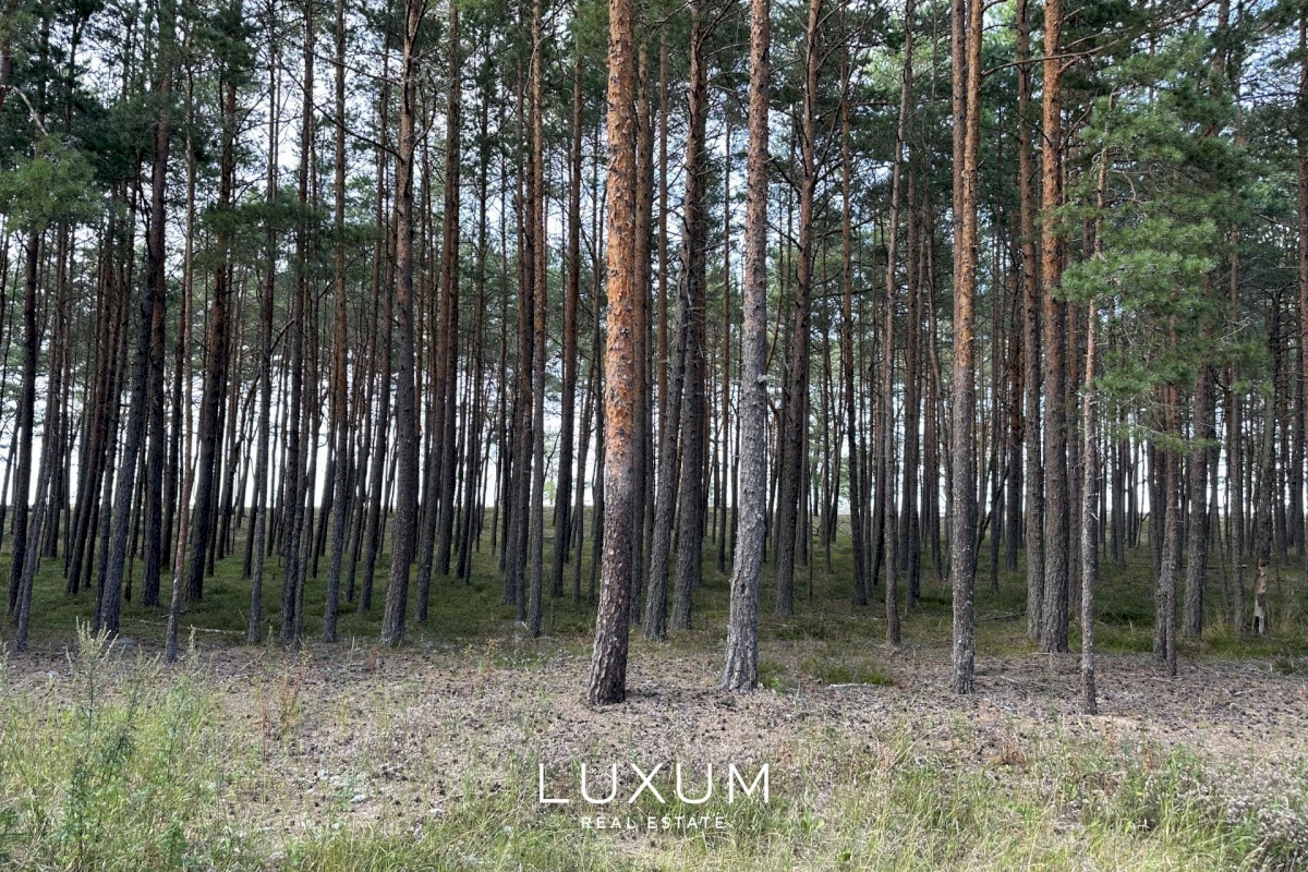 Lääne-Harju vald, Lohusalu küla, Kingu tee 10