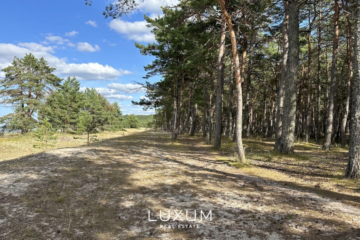 Lääne-Harju vald, Lohusalu küla, Kingu tee 10