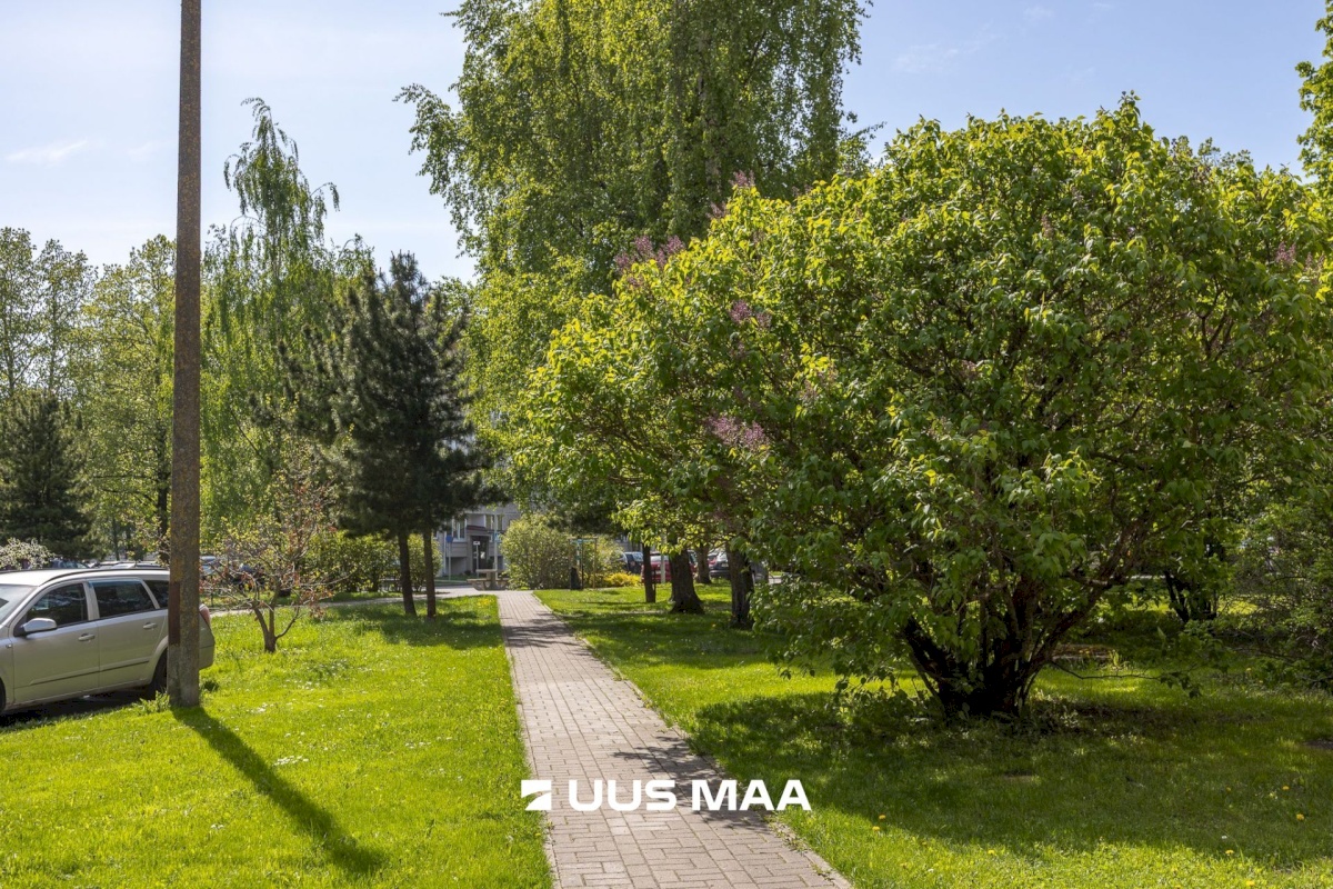 Tallinn, Lasnamäe linnaosa, Miina Härma 1