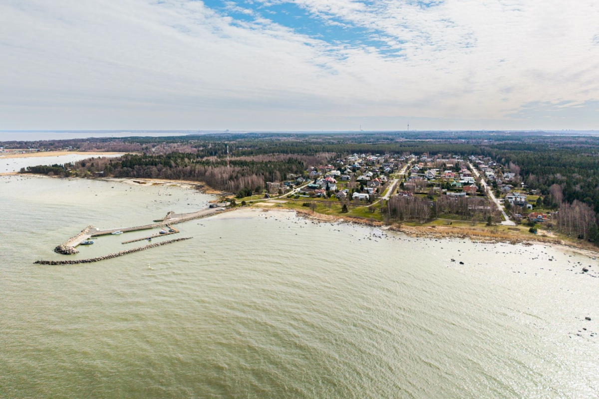 Viimsi vald, Kelvingi küla, Koidu tee 11
