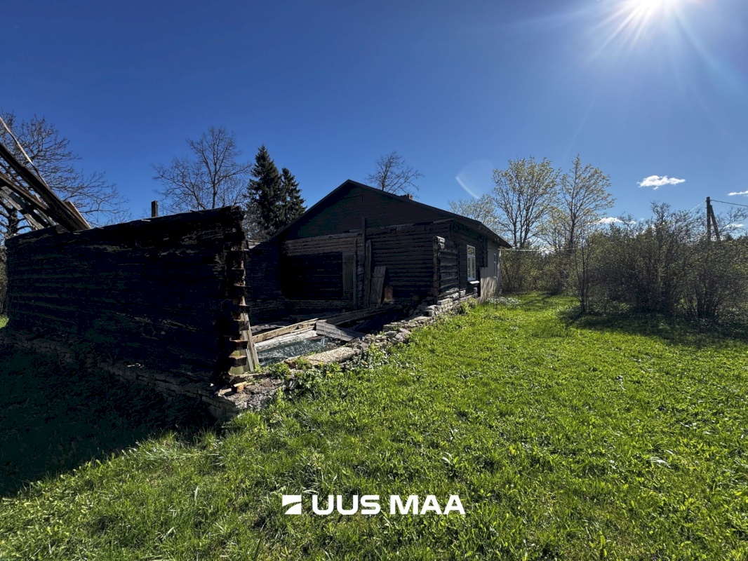 Haljala vald, Kandle küla, Männiniidu