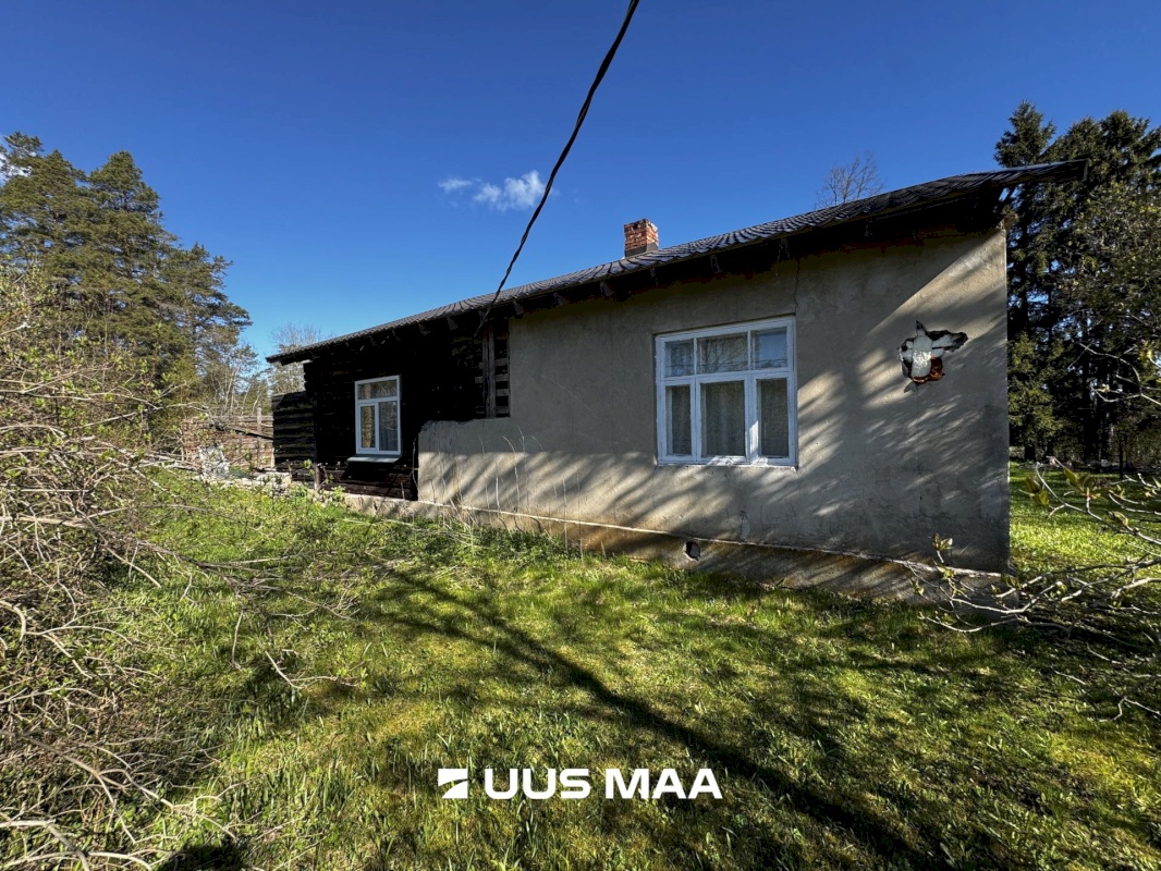 Haljala vald, Kandle küla, Männiniidu