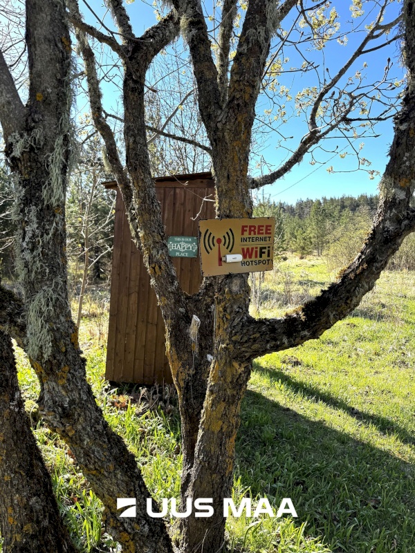 Haljala vald, Kandle küla, Männiniidu