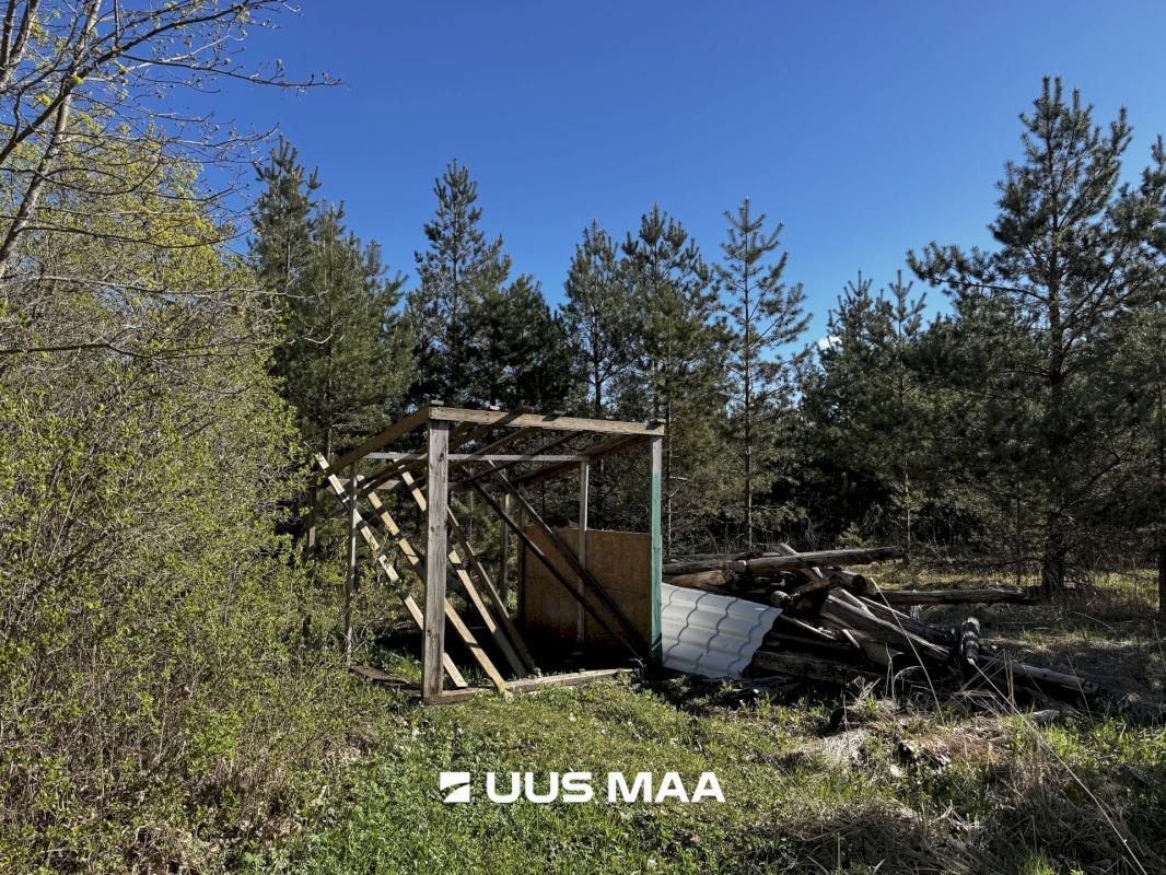 Haljala vald, Kandle küla, Männiniidu