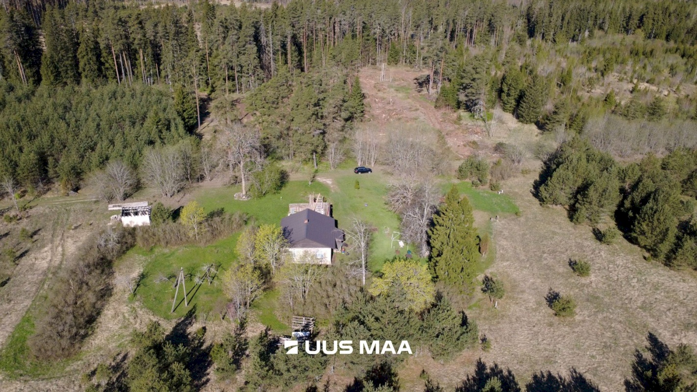 Haljala vald, Kandle küla, Männiniidu