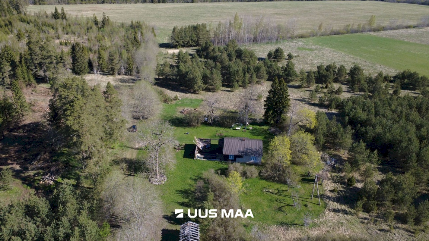 Haljala vald, Kandle küla, Männiniidu