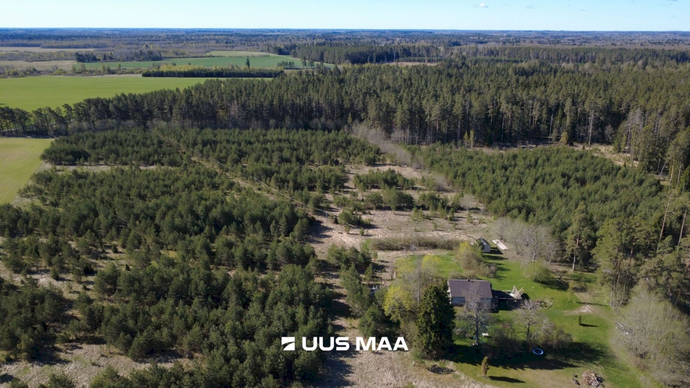 Haljala vald, Kandle küla, Männiniidu