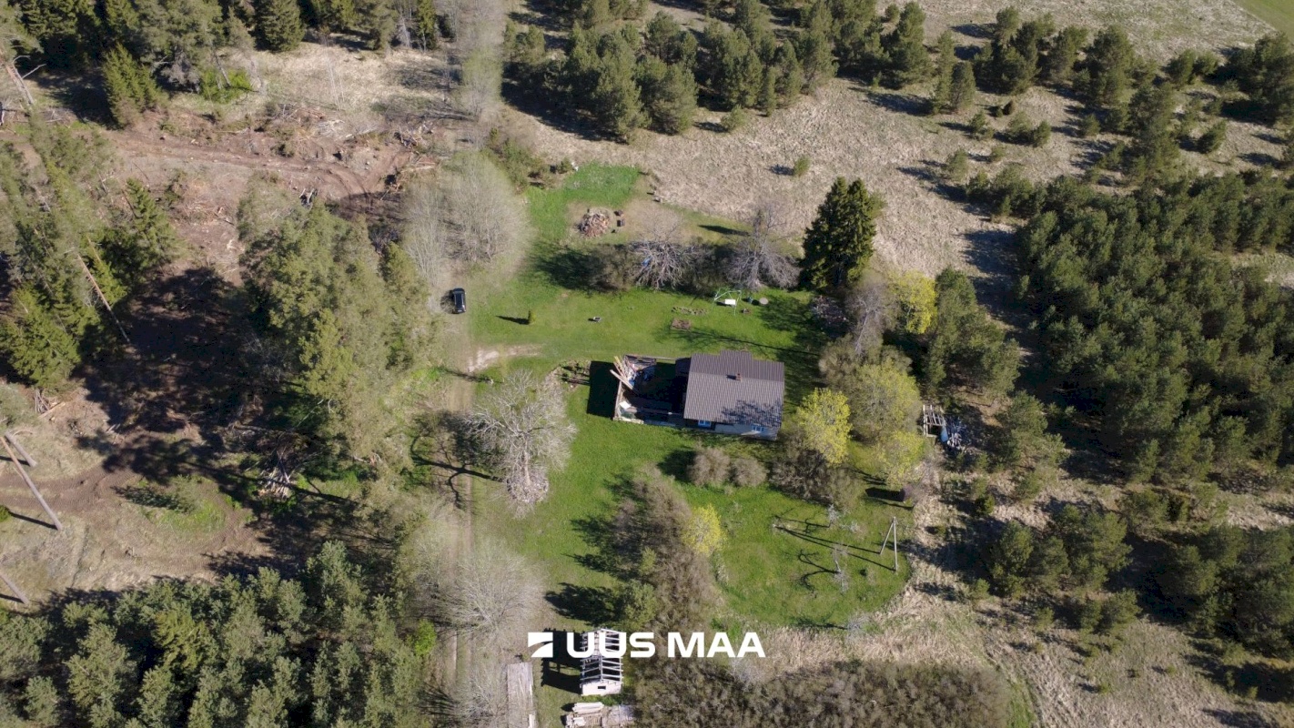 Haljala vald, Kandle küla, Männiniidu