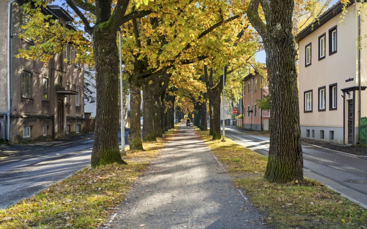 Tartu linn, Tartu linn, Tähtvere, C. R. Jakobsoni tn 18