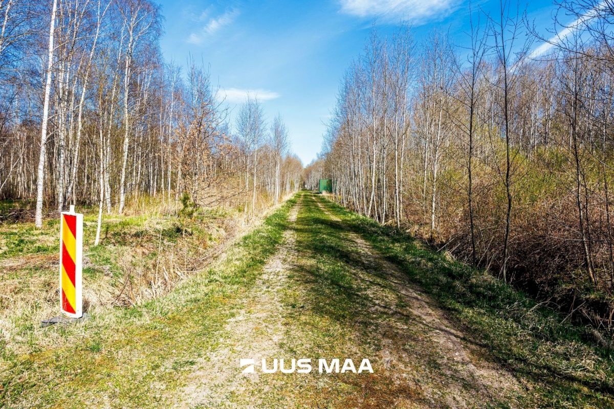 Raasiku vald, Kulli küla, Voldemari