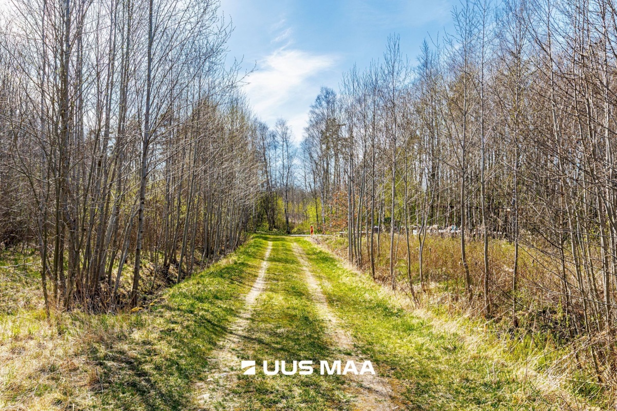Raasiku vald, Kulli küla, Voldemari