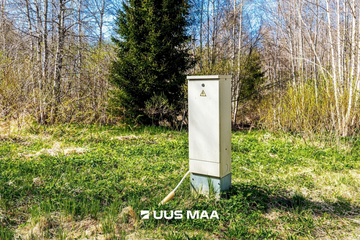 Raasiku vald, Kulli küla, Voldemari