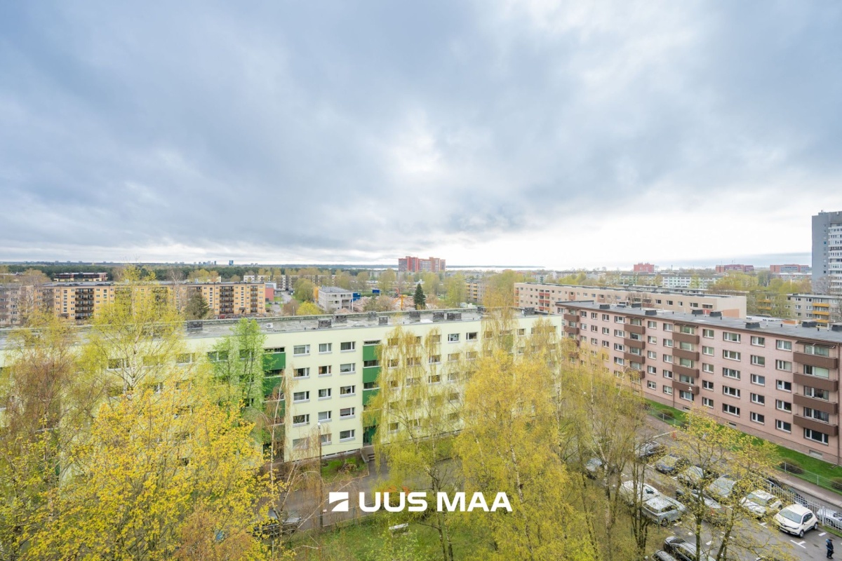 Tallinn, Põhja-Tallinna linnaosa, Pelgulinna, Sõle 41