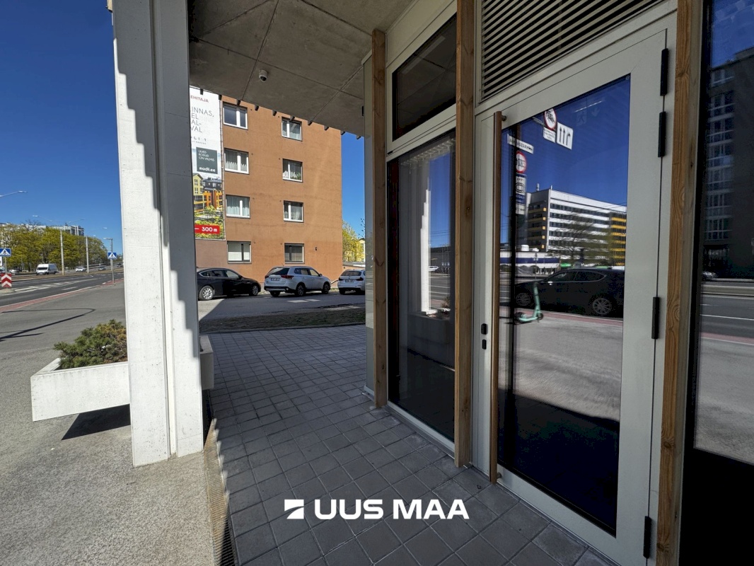 Tallinn, Kesklinna linnaosa, Pärnu mnt 113