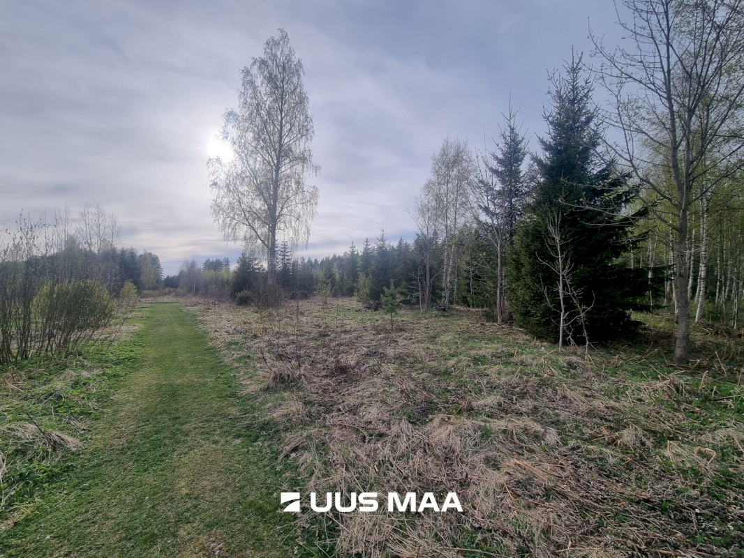 Rakvere vald, Varudi-Vanaküla, Jõesuu