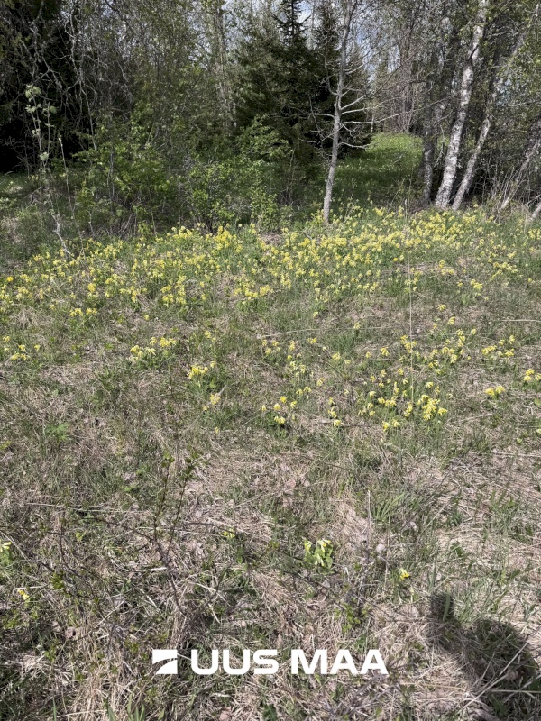 Vinni vald, Aruküla, Raadla