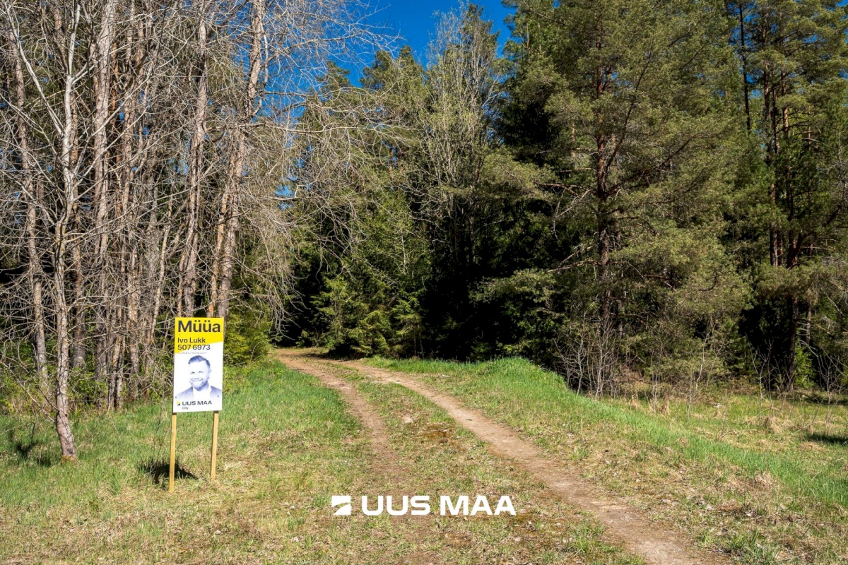 Kose vald, Kiruvere küla