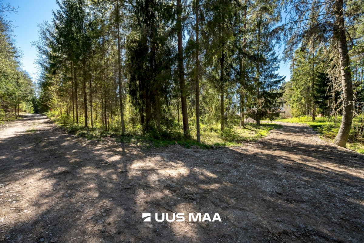 Kose vald, Kiruvere küla