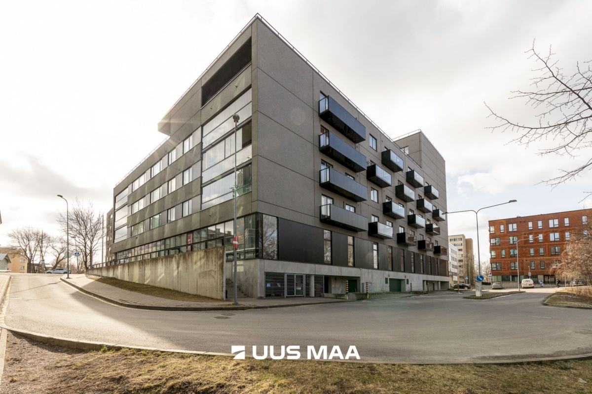 Tallinn, Kesklinna linnaosa, Suve 2