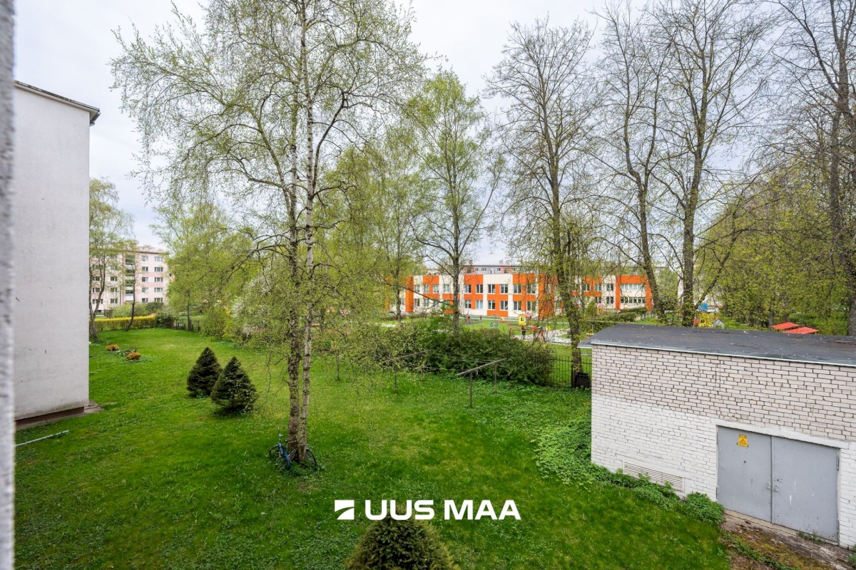 Tallinn, Põhja-Tallinna linnaosa, Pelguranna, Puhangu 8