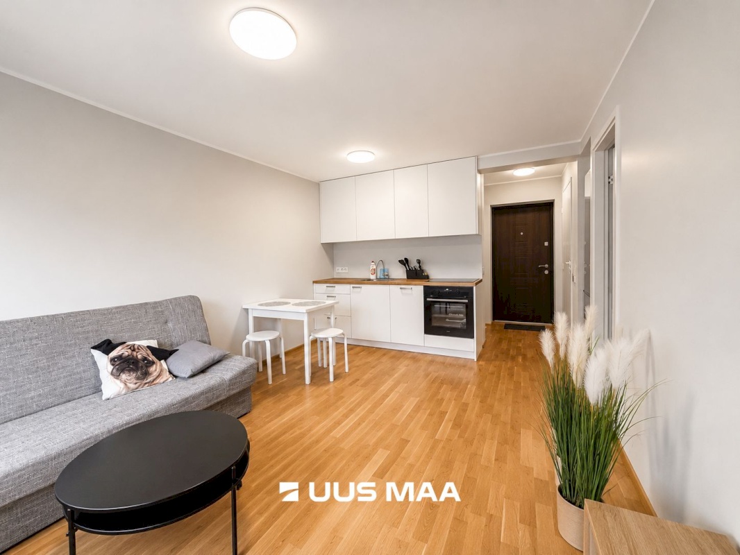 Tallinn, Nõmme linnaosa, Vabaduse pst 166