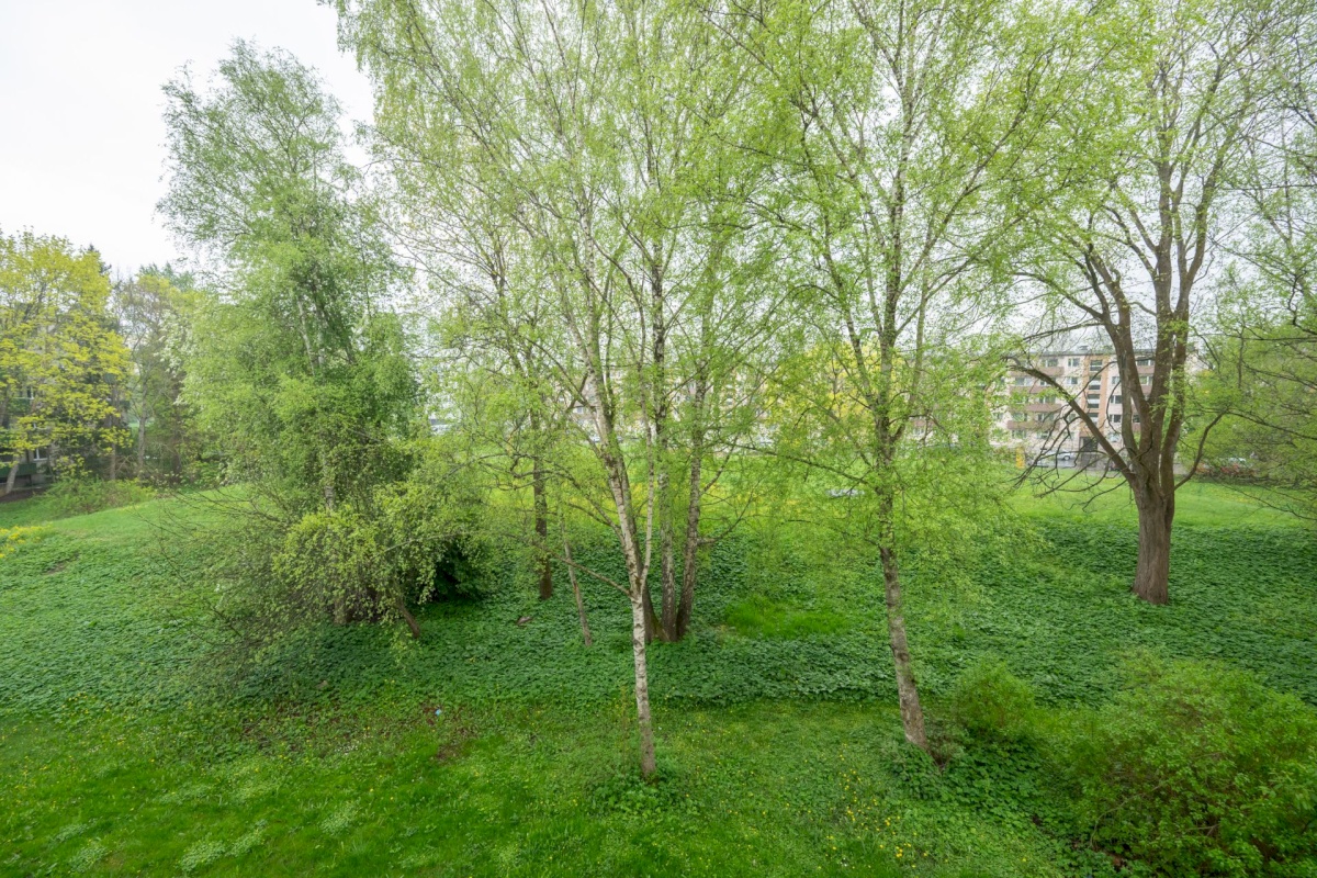 Tallinn, Mustamäe linnaosa, Mustamäe, Mustamäe tee 175