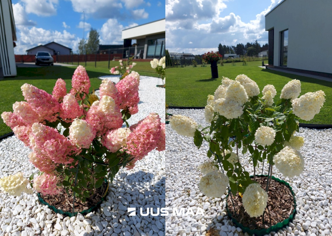 Viljandi linn, Järveotsa, Tuisu tn 3