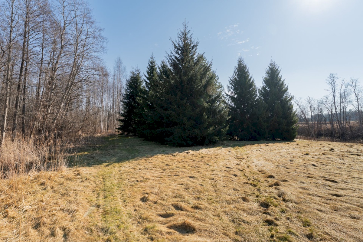 Pärnu linn, Lemmetsa küla