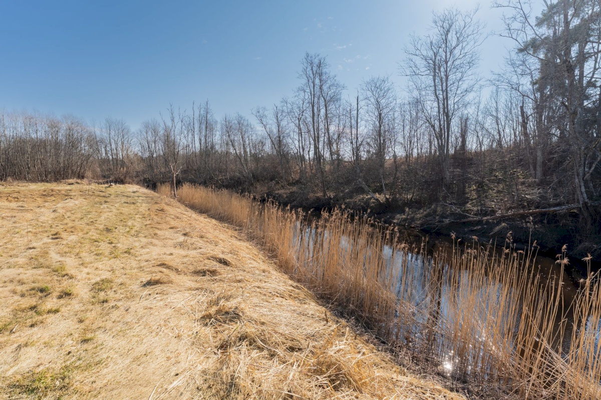 Pärnu linn, Lemmetsa küla