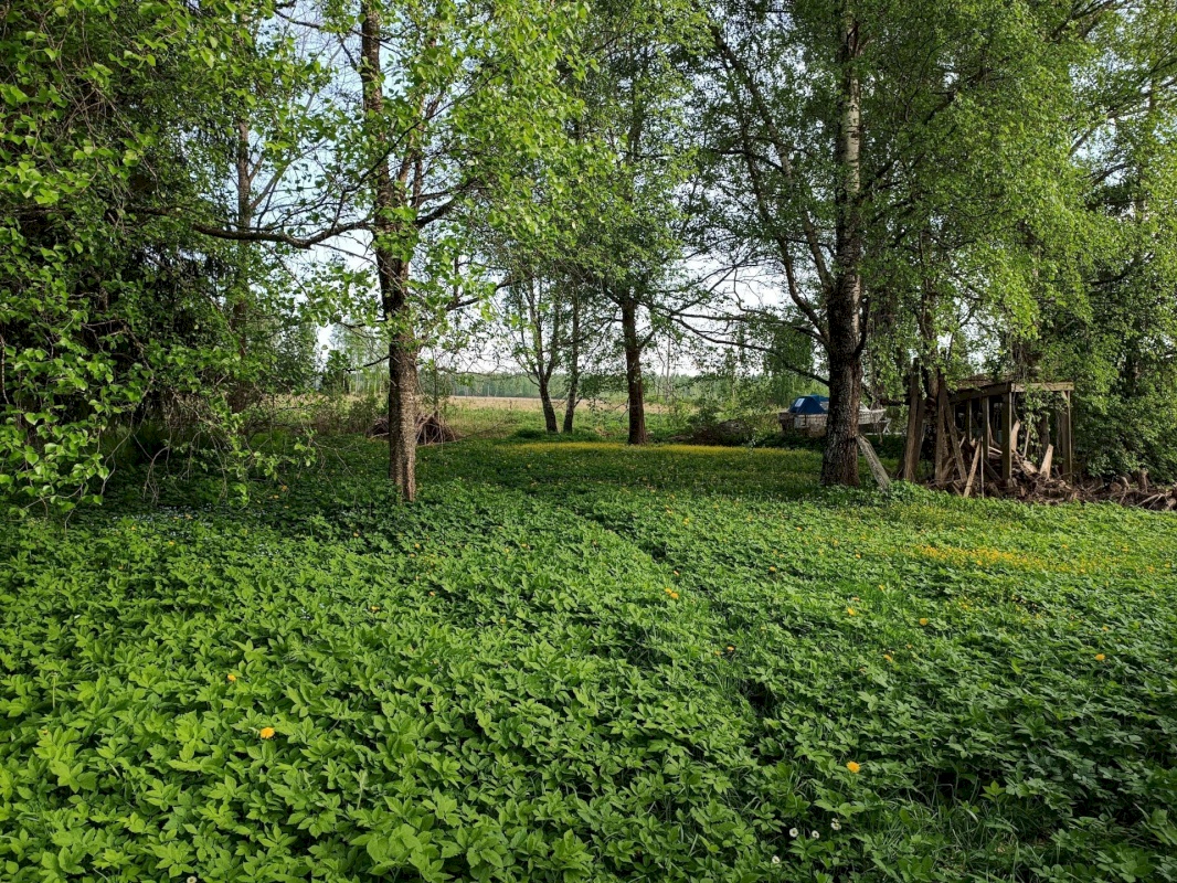 Võru vald, Võrumõisa küla, Kaku tee 5
