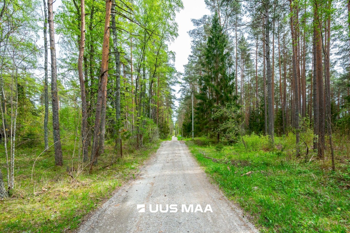 Lääne-Harju vald, Vasalemma alevik, Taganõmme 8