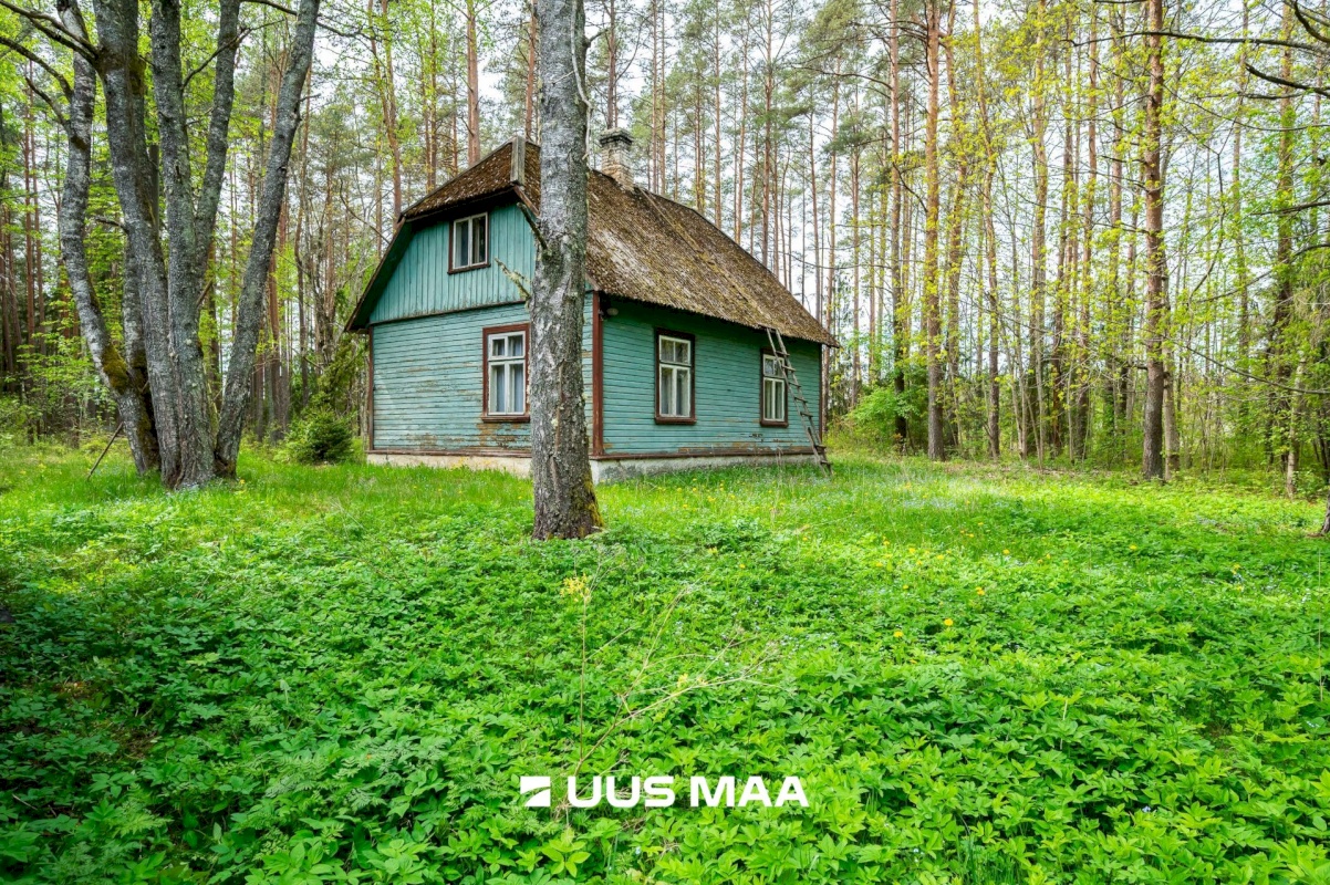 Lääne-Harju vald, Vasalemma alevik, Taganõmme 8