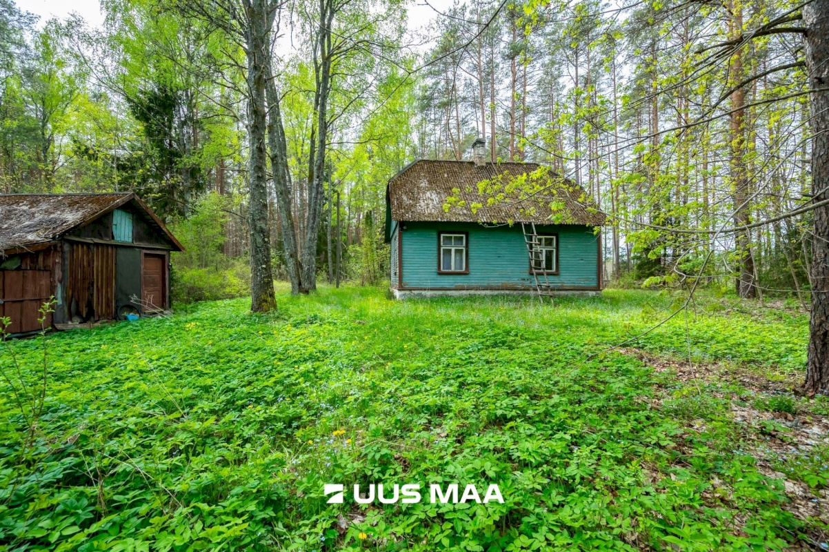 Lääne-Harju vald, Vasalemma alevik, Taganõmme 8