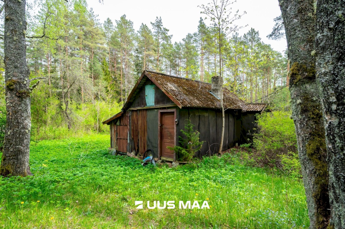 Lääne-Harju vald, Vasalemma alevik, Taganõmme 8
