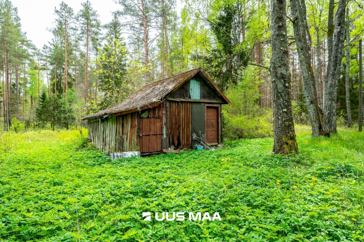 Lääne-Harju vald, Vasalemma alevik, Taganõmme 8