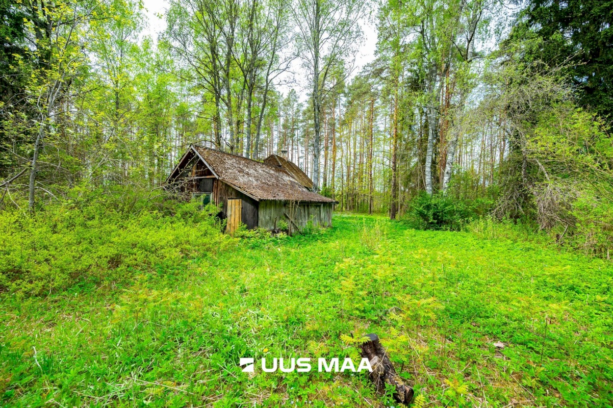 Lääne-Harju vald, Vasalemma alevik, Taganõmme 8