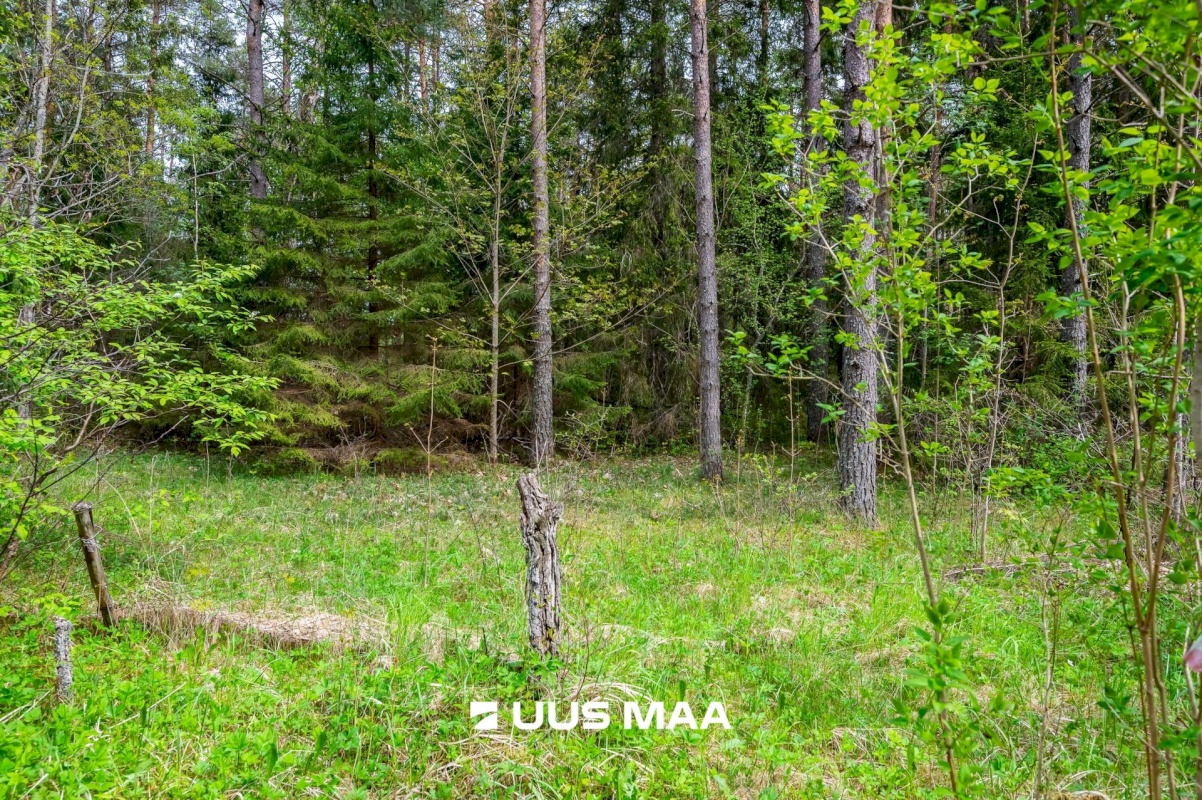 Lääne-Harju vald, Vasalemma alevik, Taganõmme 8