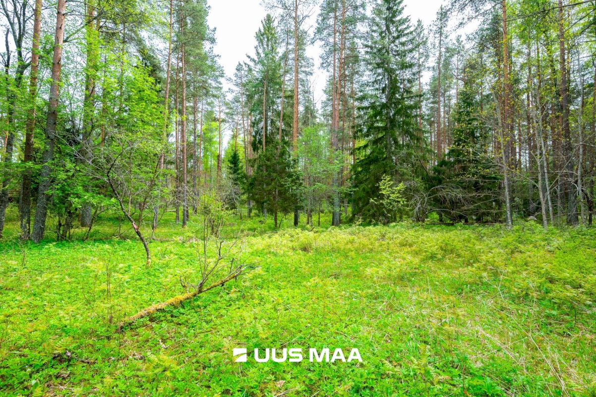 Lääne-Harju vald, Vasalemma alevik, Taganõmme 8
